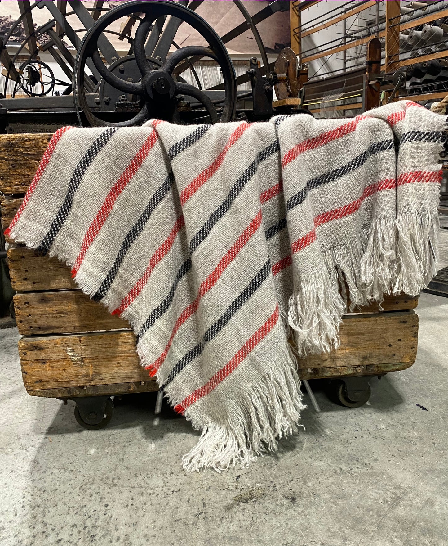 Carnival Striped BW Throws