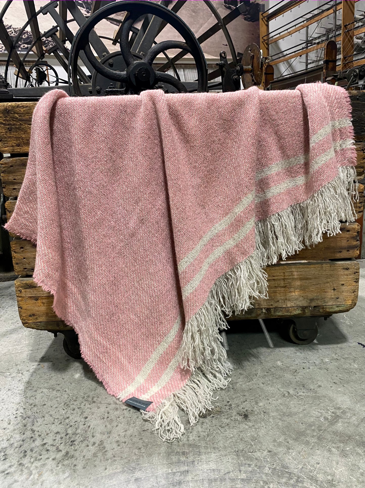 Carnival Striped BW Throws