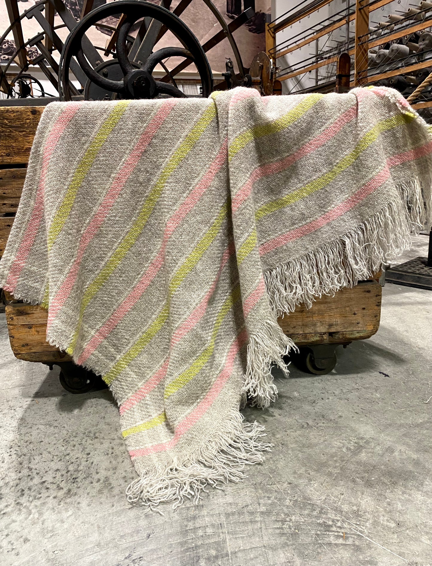 Carnival Striped BW Throws