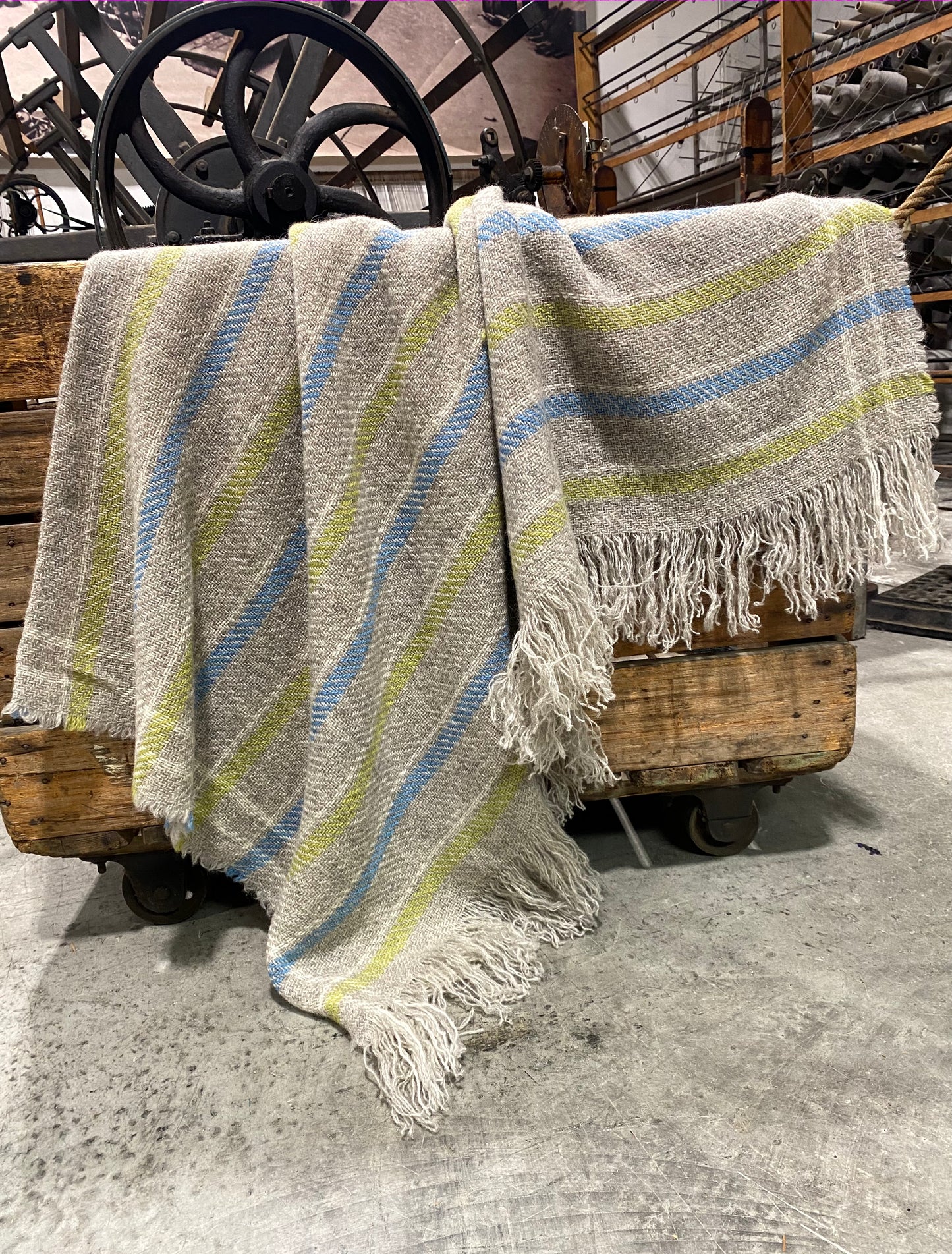 Carnival Striped BW Throws