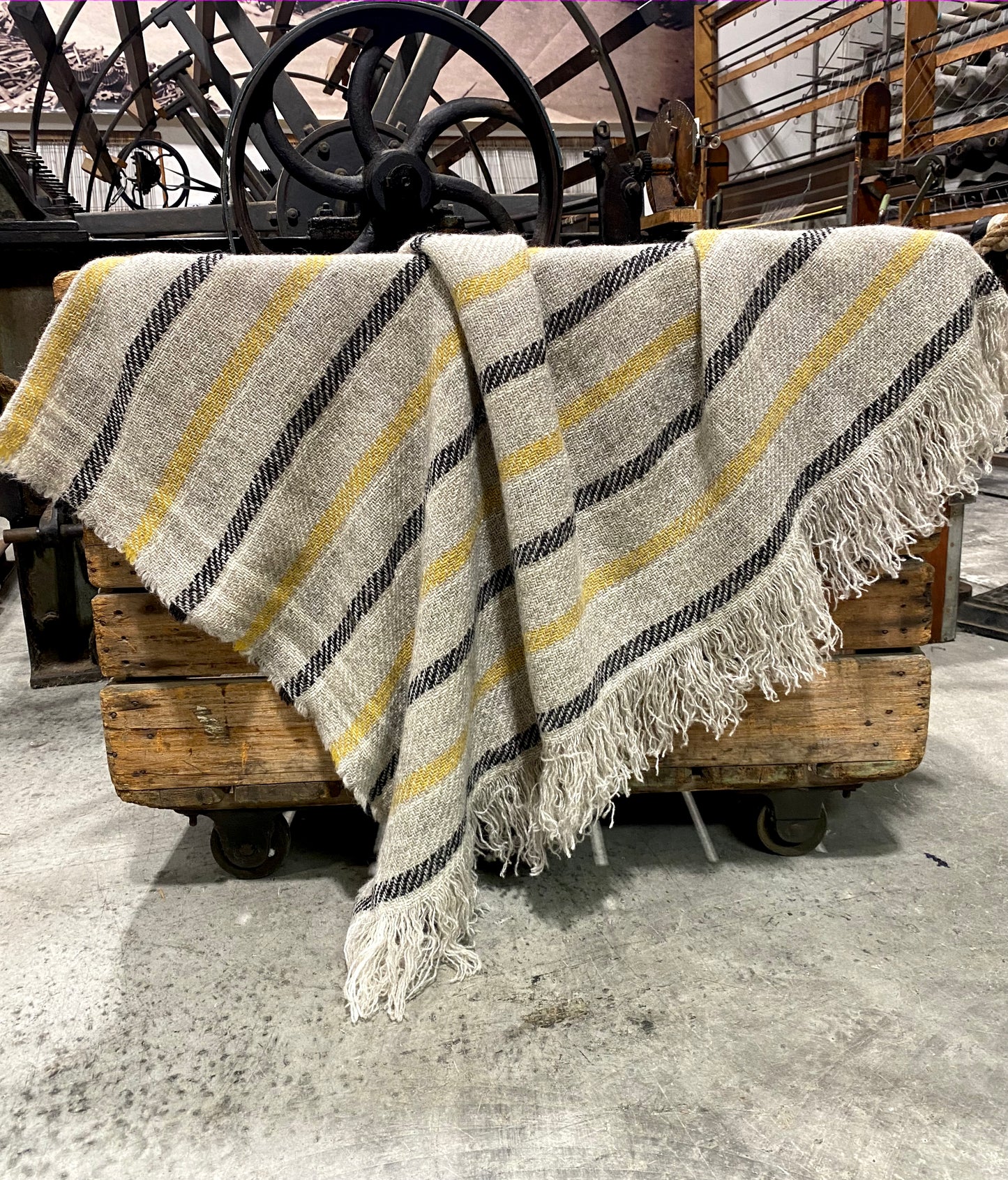 Carnival Striped BW Throws