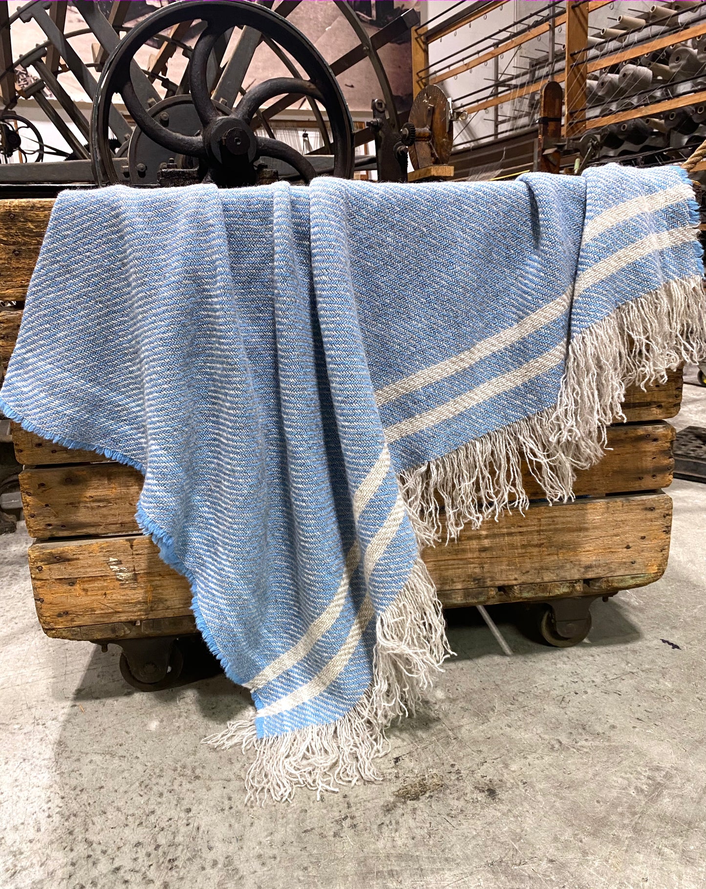 Carnival Striped BW Throws