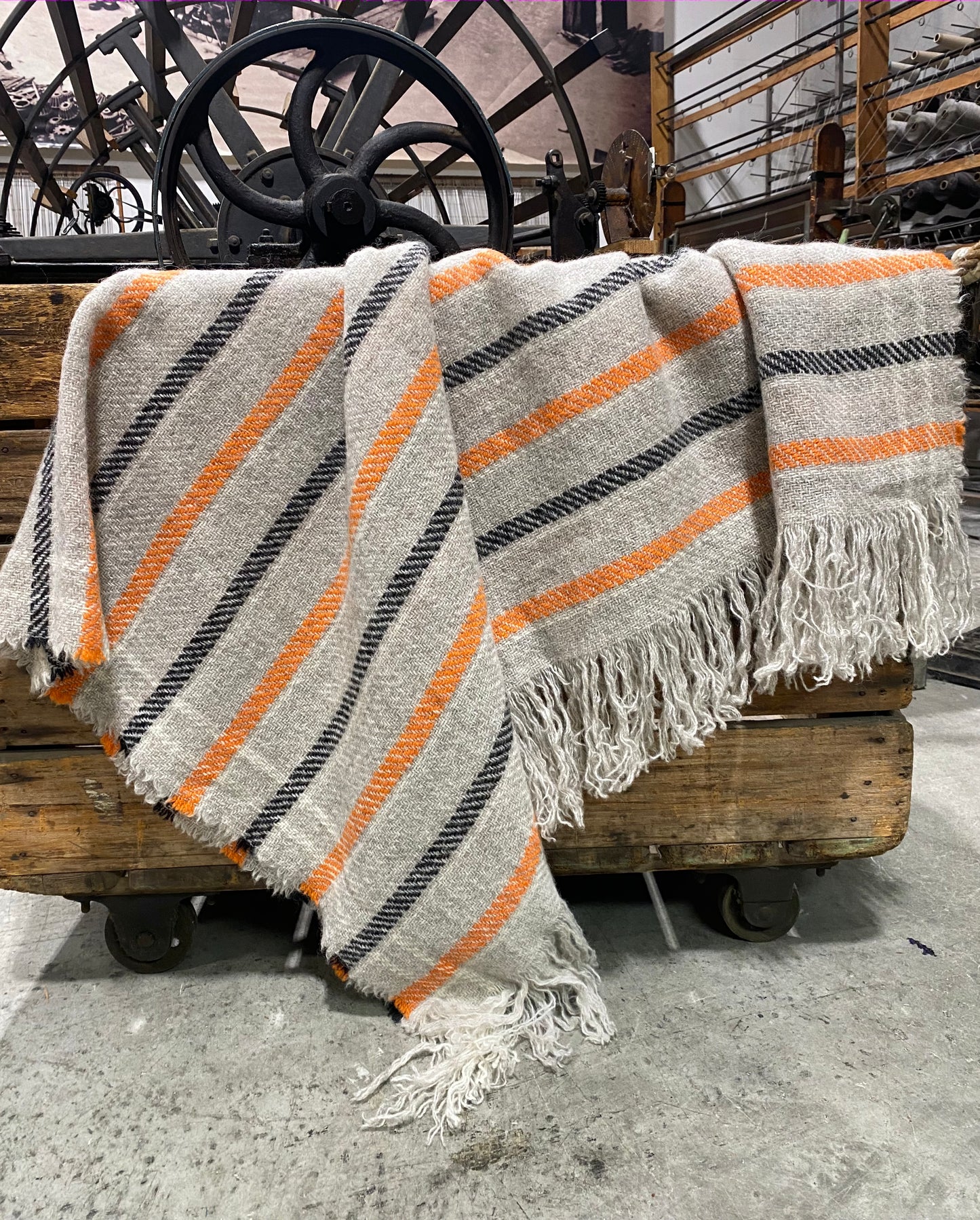 Carnival Striped BW Throws