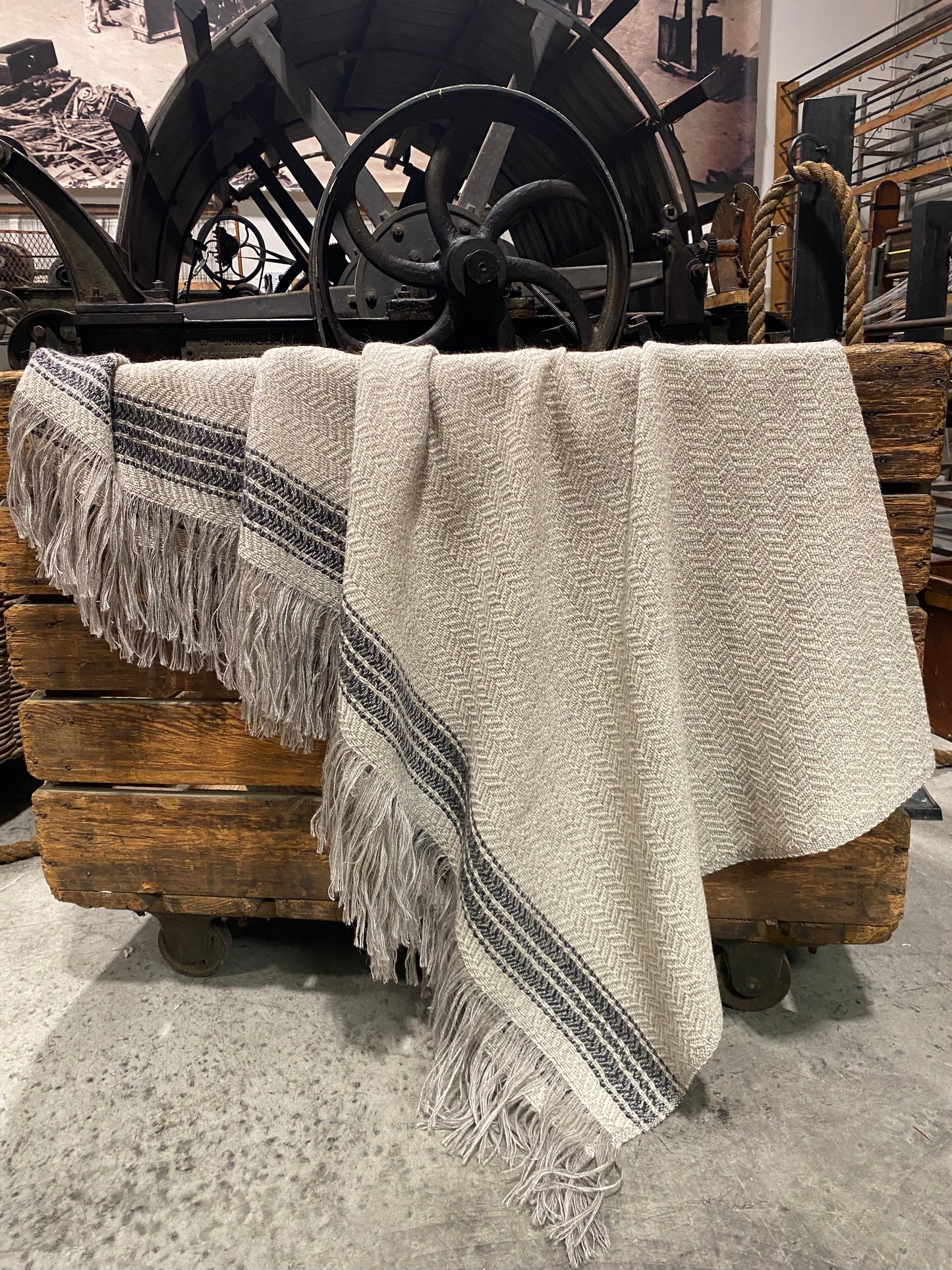 New Flight  Stripe Throw