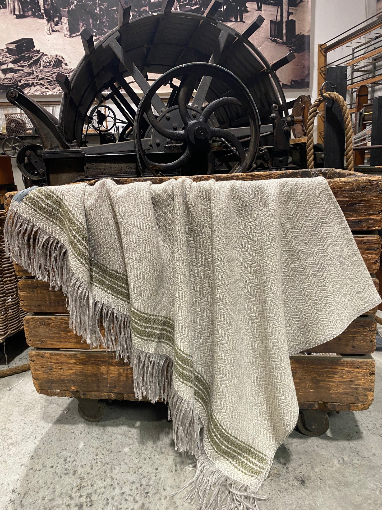 New Flight  Stripe Throw