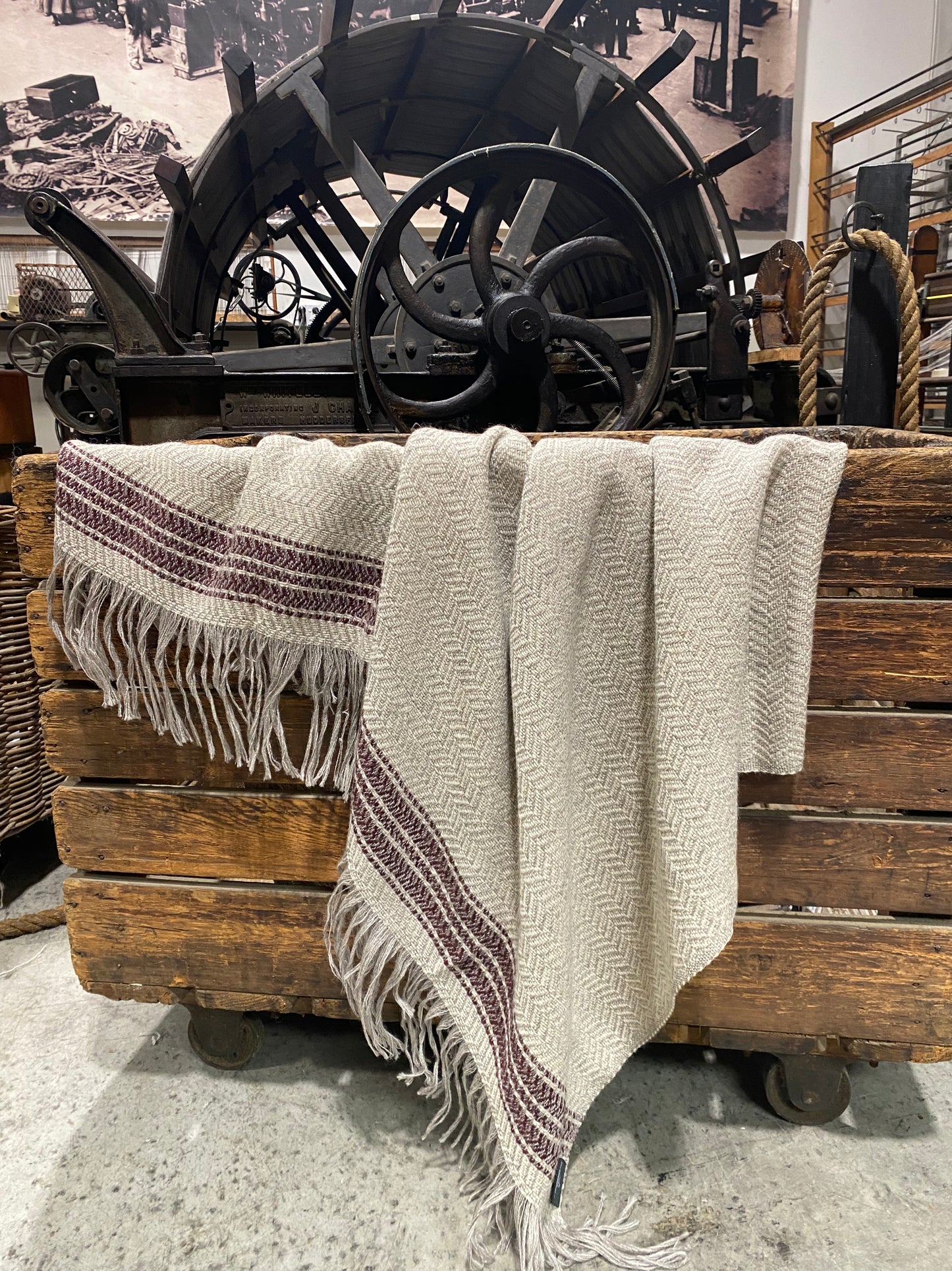 New Flight  Stripe Throw