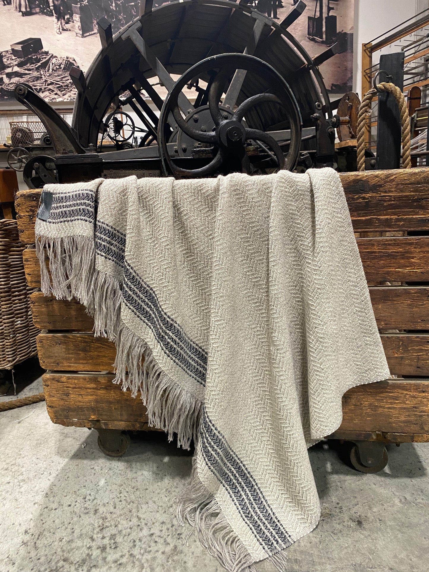 New Flight  Stripe Throw